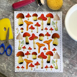 Funghi (Cappello Rosso) - Foglio di decalcomanie per smalto
