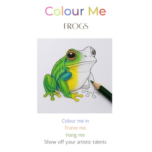 Puede incluir: Una página para colorear con una ilustración detallada de una rana, parcialmente coloreada en tonos de verde, amarillo y blanco, con un lápiz de color verde. El texto "Colour Me FROGS" está en la parte superior, con texto adicional en la parte inferior.