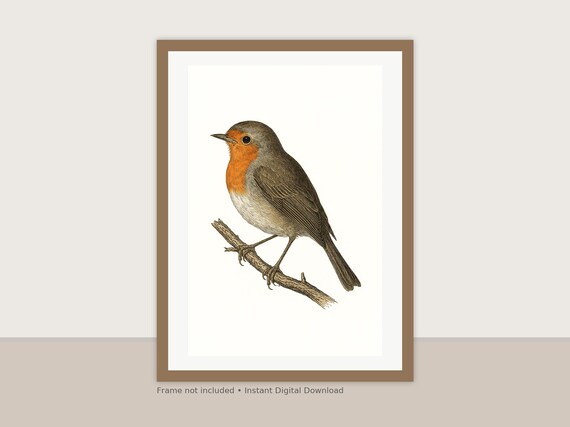 Victorian Robin Illustration: Vintage Bird Printable Wall Art