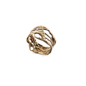 Puede incluir: Un anillo dorado con un diseño abierto y orgánico. El anillo presenta una superficie texturizada con aberturas irregulares, creando una apariencia única y artística. El anillo está sobre un fondo blanco, resaltando sus intrincados detalles.