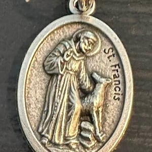 Saint Francis Pet Medal: Silverplated Religious Collar Charm