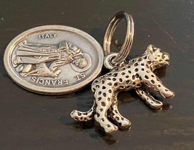 Saint Francis PROTECT my PET Bengal Savannah Cat Religious Medal for your Pet Cherished Saints Pet Collar Medal image 1