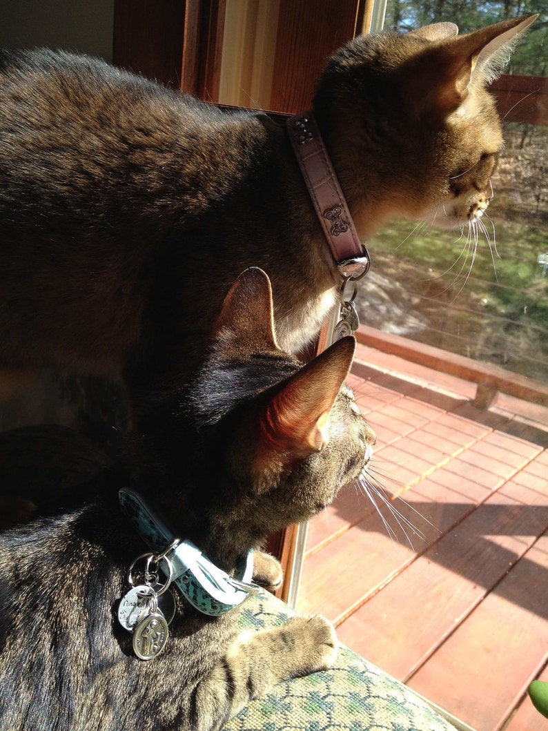Saint Francis PROTECT my PET Bengal Savannah Cat Religious Medal for your Pet Cherished Saints Pet Collar Medal image 4