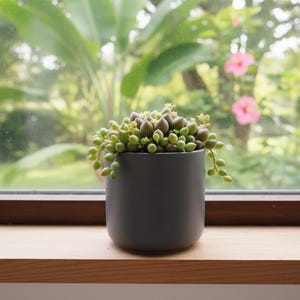 Op de afbeelding: Een kleine, donkergrijze keramische pot gevuld met een parelsnoer-vetplant. De plant heeft kleine, ronde, groene bladeren en staat op een houten vensterbank met een vage achtergrond.