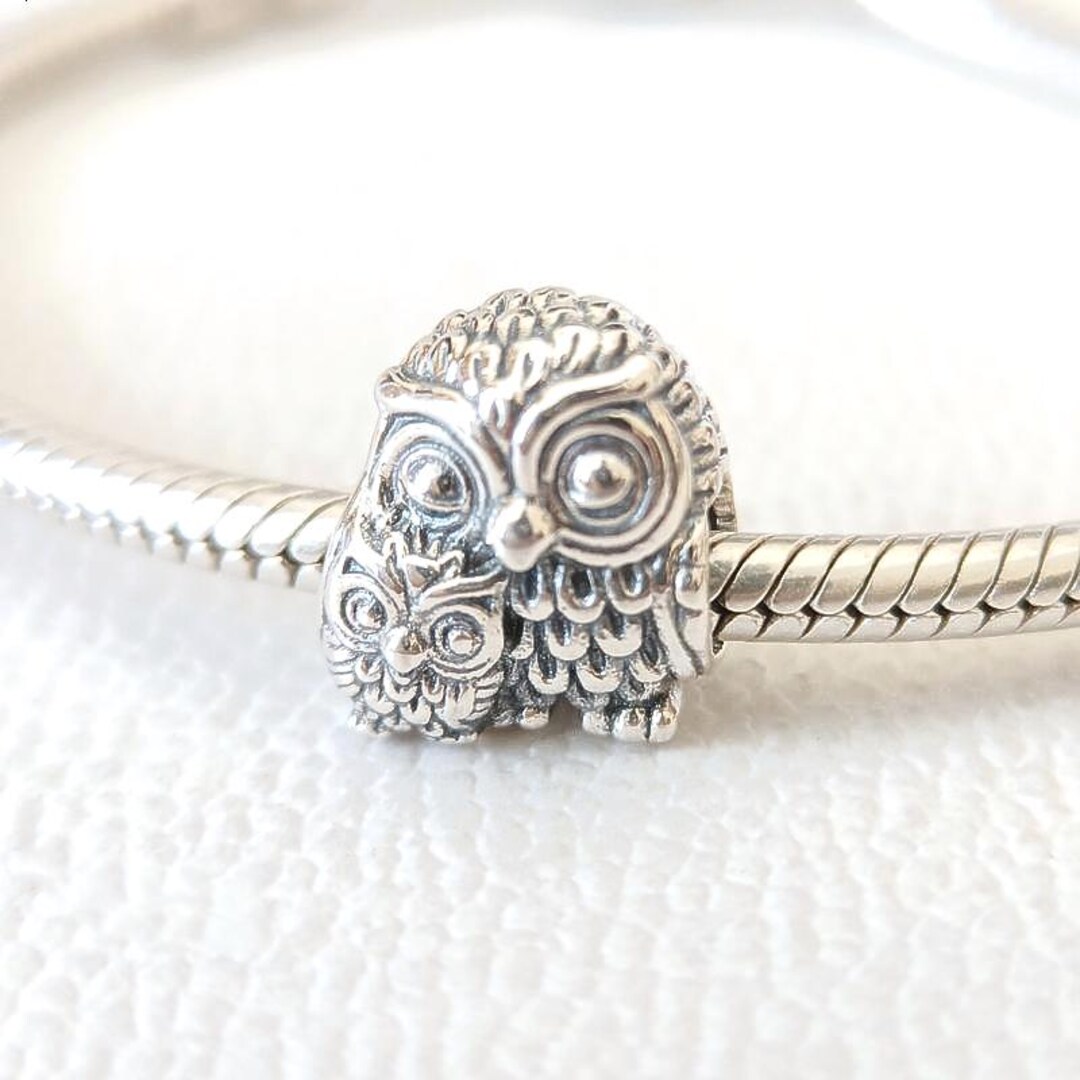 Pandora Mother Owl & Baby Owl Charm - Danson Jewelers Pandora Owl Mother & Baby Charm main image 1