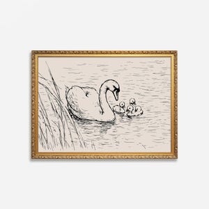 Swan with Baby Cygnets Wall Art | Hand-Drawn Bird Sketch | Digital Download Printable Nursery Decor