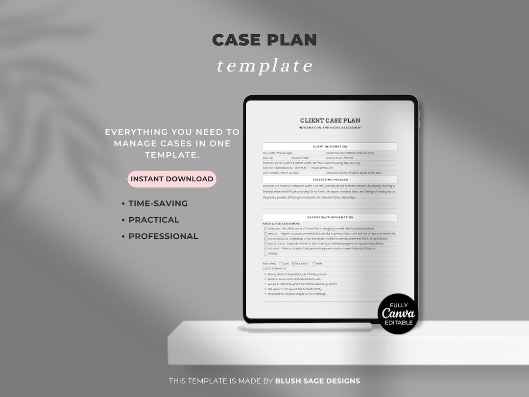 Case Plan Template for Social Workers, Editable Canva Care Plan, Client ...