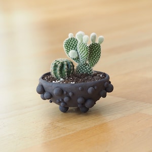 Small planter ceramic | black planter | ceramic plant pot small | handmade planter | modern planter | plant lover gift | stoneware planter