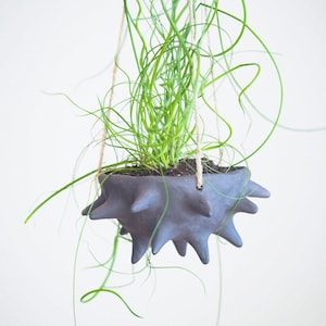 Small hanging planter | ceramic planter | small planter | outdoor indoor planter | handmade planter | hanging plant pot | small plant pot