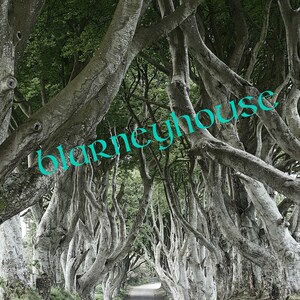 May include: A winding path leads through a tunnel of trees with branches that have grown together to form an archway. The trees are bare and the path is paved. The text "blarneyhouse" is superimposed over the image.