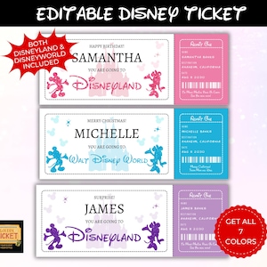 Editable Disneyland Ticket, Disneyworld Ticket, Surprise Reveal Editable Ticket, Theme Park Ticket, Surprise Ticket Gift, Instant Download