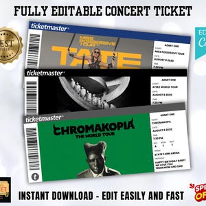 Editable Concert Ticket Template, DIY Event Ticket, Surprise Gift Custom Concert Ticket, Printable Concert Tickets Gift Idea, Canva Template