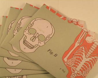 Six 4-Bar Anatomical Skull Skeleton Envelopes with Notecards