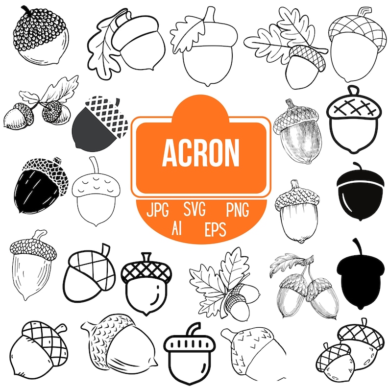 Acorn SVG Bundle: Clipart, Silhouette, Cut Files (digital Download) - Etsy