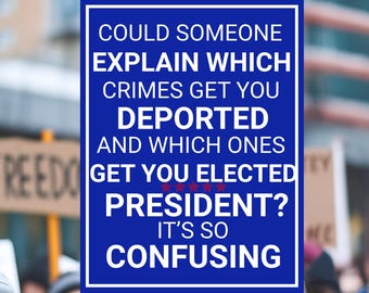 Which Crimes Get You Deported Political Protest Sign, Anti Trump Sign, Political Sign, Trump Protest Signs, Rejecting Kings, No Kings