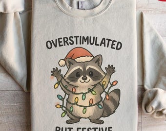 Waschbär Weihnachten Sweatshirt, Waschbär Weihnachtssweat, Waschbär Weihnachten Hoodie, Lustiges Meme Cewneck