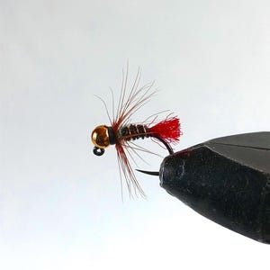 May include: A close-up of a fishing fly with a gold-colored bead head, red tail, and brown and black body. The fly is attached to a black hook and held in a black clamp against a white background.