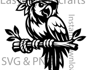 Pirate Parrot Svg Png, pirate svg designs,