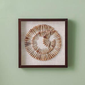 Natural Seashell Wall Art | Spiral Shell Shadow Box | Coastal Beach Decor | Nautical Wall Hanging | Ocean Inspired Home Decor