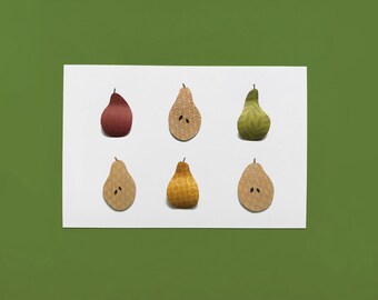 Paper Pears - Print