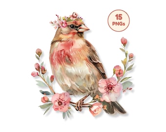 Spring Bird Clipart PNG Bundle, Floral Nature Illustration Collection, Cute Flying Creature Graphics, Seasonal Decor Elements