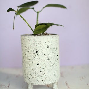 Black and White Splash Planter Ceramic Planter Indoor Planter Footed Planter Handmade Planter image 5