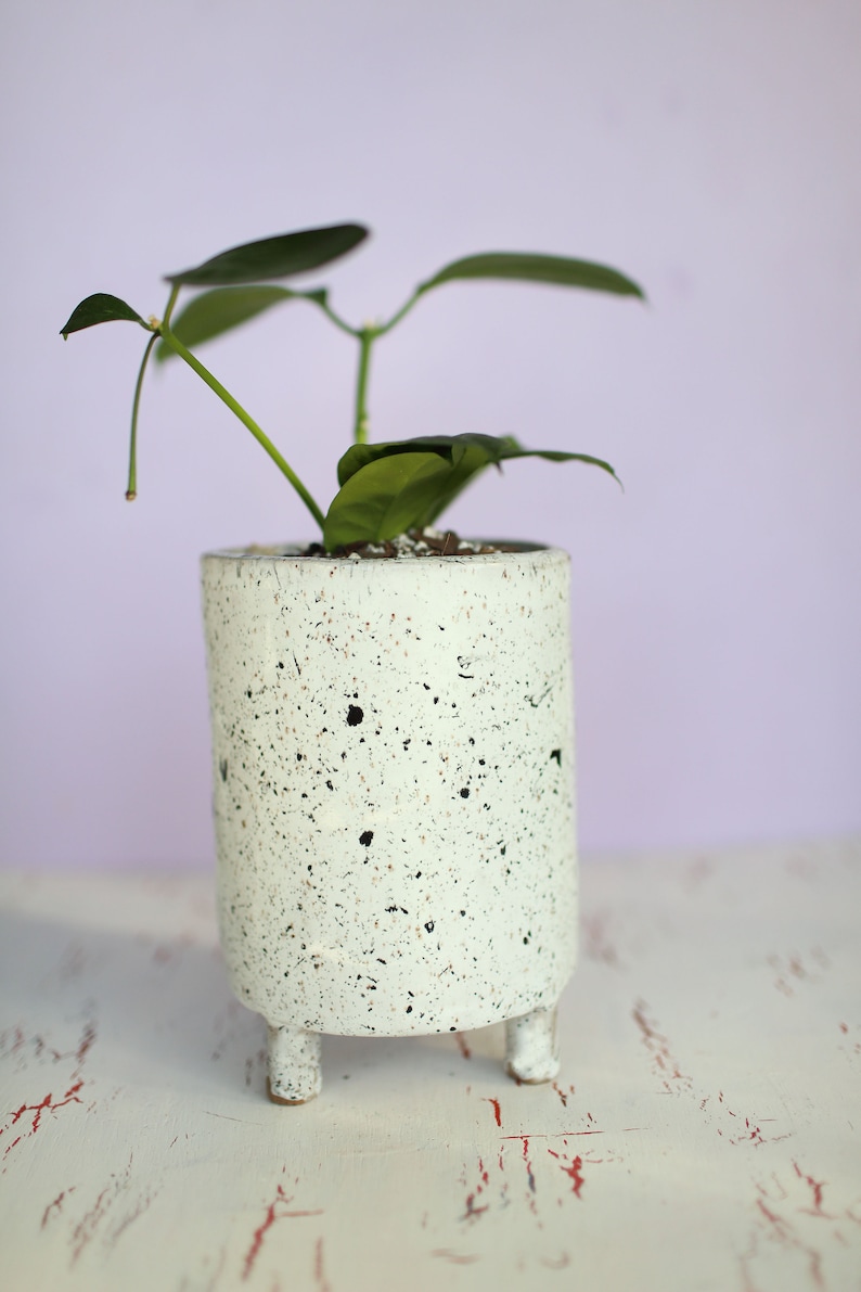 Black and White Splash Planter Ceramic Planter Indoor Planter Footed Planter Handmade Planter image 5