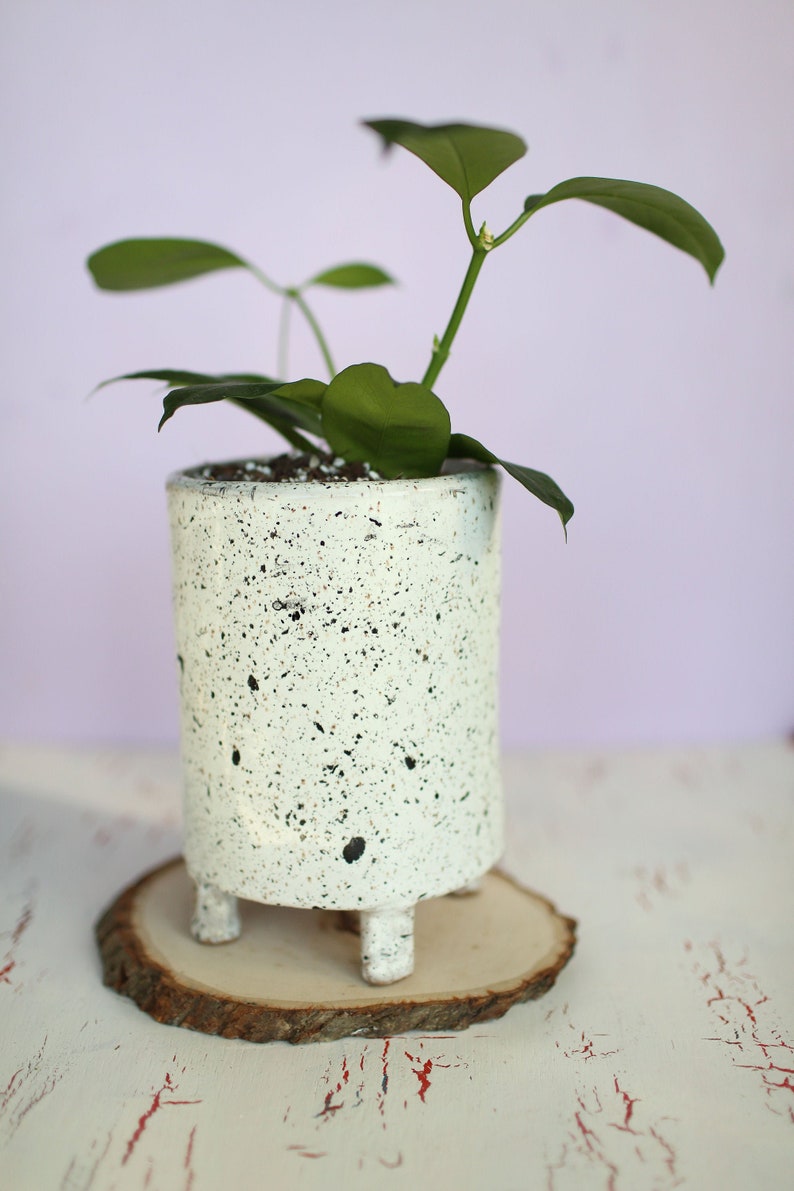 Black and White Splash Planter Ceramic Planter Indoor Planter Footed Planter Handmade Planter image 2