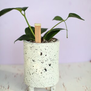 Black and White Splash Planter Ceramic Planter Indoor Planter Footed Planter Handmade Planter image 4