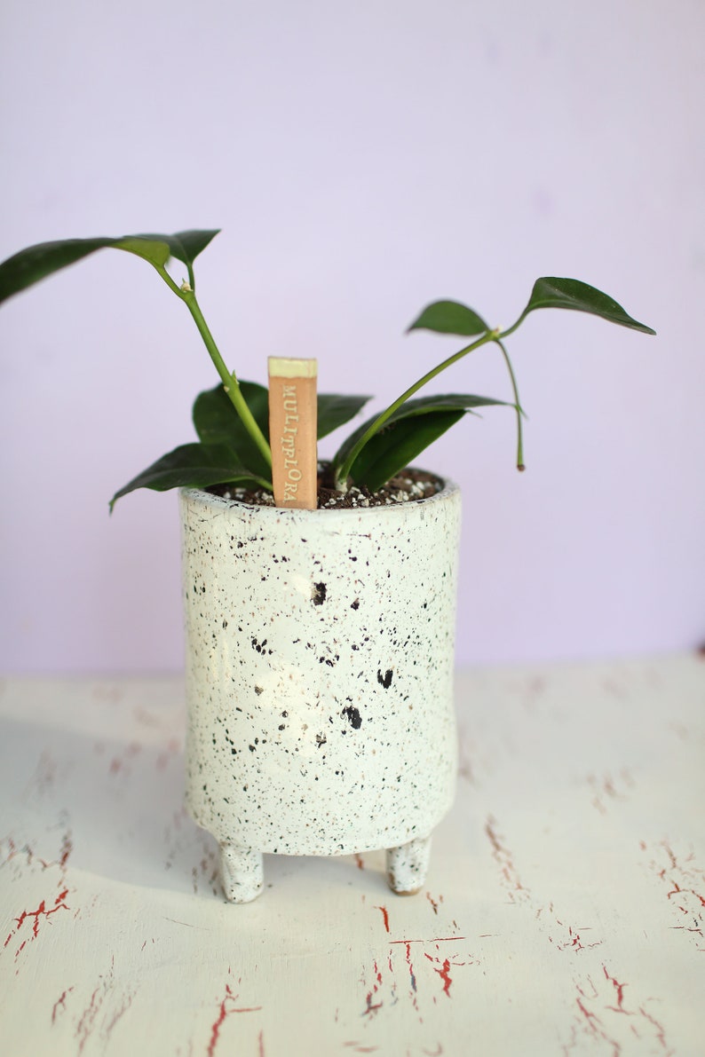 Black and White Splash Planter Ceramic Planter Indoor Planter Footed Planter Handmade Planter image 4