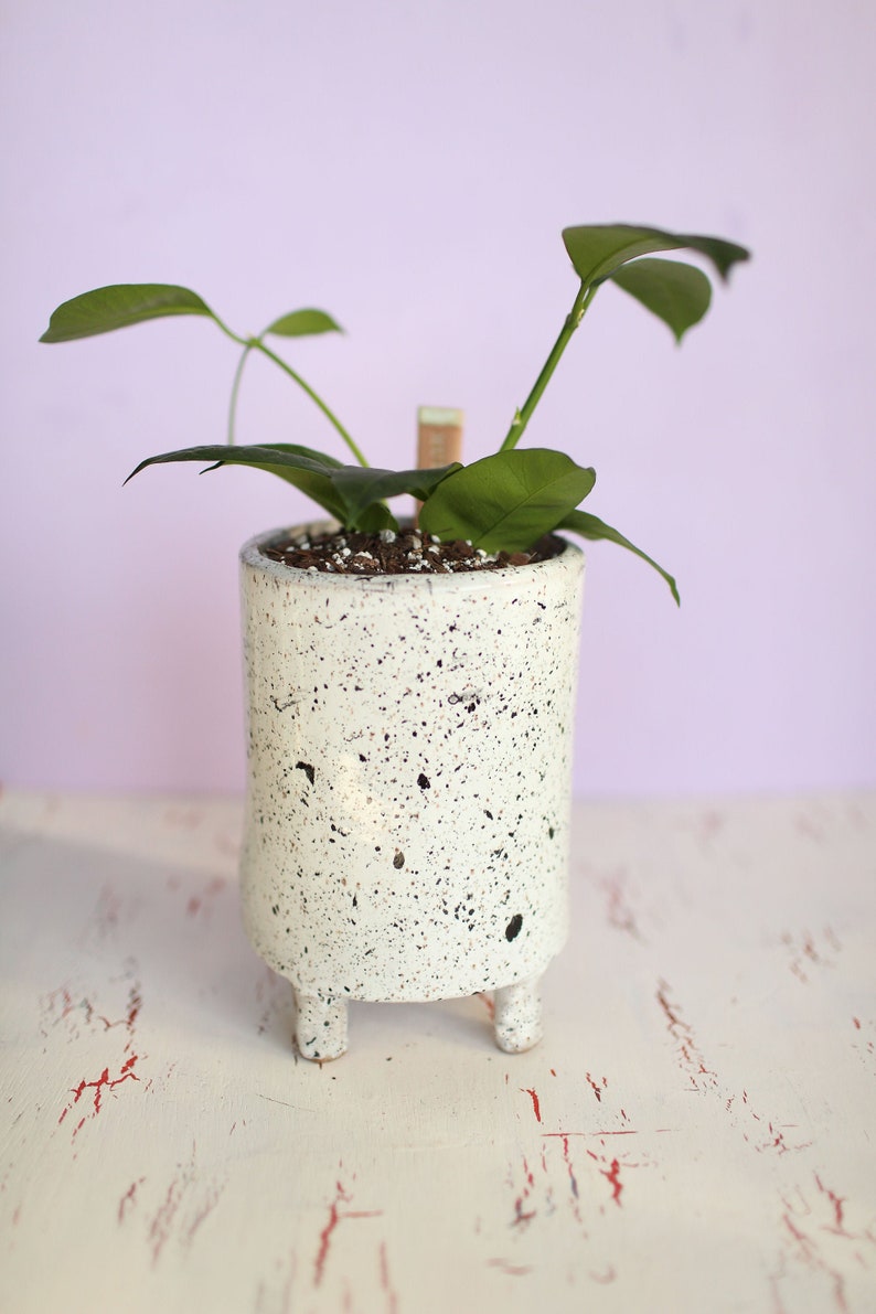 Black and White Splash Planter Ceramic Planter Indoor Planter Footed Planter Handmade Planter image 1