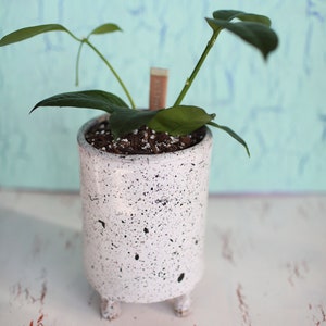 Black and White Splash Planter Ceramic Planter Indoor Planter Footed Planter Handmade Planter image 6