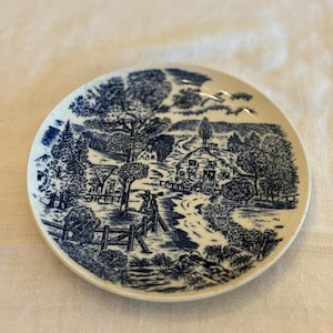 Vintage Japanese Handpainted Plate. Made in Japan