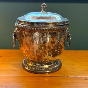 Silver Lion Head Ice Bucket - Etsy