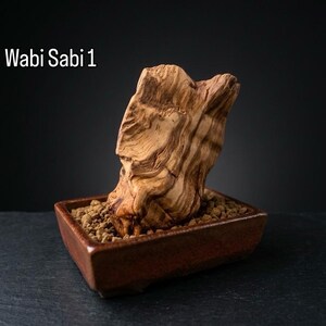 Escultura antiga em madeira de oliveira da Apúlia sobre vaso de cerâmica Nendosei - Arte Wabi Sabi com Akadama - Madeira secular da Apúlia