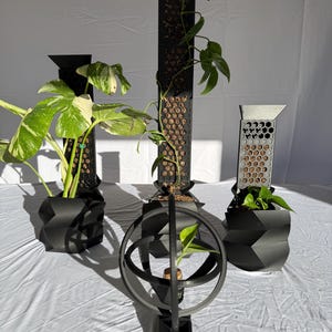 May include: Black geometric planters and plant supports. The planters have a zig-zag design. The plant supports are tall, rectangular, and have a honeycomb pattern. Plants with green and white leaves are in the planters. A small plant is in a spherical support.
