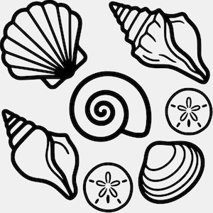Puede incluir: Ilustración en blanco y negro de varias conchas marinas y dólares de arena. La imagen incluye una concha de vieira, una concha en espiral, dos caracolas y dos dólares de arena, todos con contornos gruesos.