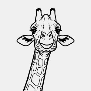 Cabeza de jirafa SVG PNG: Diseño de arte lineal en ángulo bajo (Descarga digital)