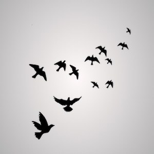 May include: A flock of black birds in flight against a light gray background. The birds are silhouetted, with varying wing positions, creating a dynamic and artistic composition. The birds are arranged in a diagonal pattern.
