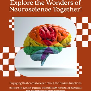Könnte beinhalten: Lehrreiches Poster mit einer farbenfrohen Illustration eines Gehirns, unterteilt in regenbogenfarbene Abschnitte. Der Text lautet: "Entdecken Sie gemeinsam die Wunder der Neurowissenschaften!" und wirbt für Lernkarten.