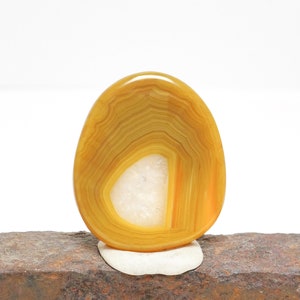 Queensland Agate Cabochon | Premium Yellow Australian Agate Cab | Jewelry Making Stones & Handmade Jewelry Supplies 33 x 28 x 4mm