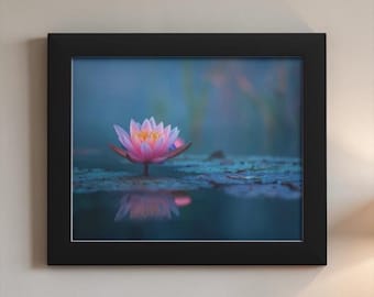 Lotus Awakening - Framed Photo
