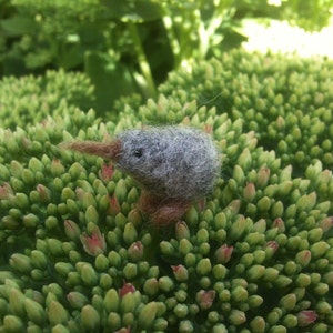 Miniature Felted Kiwi Bird – Handmade Needle Felted Bird – Tiny Animal Figurine – Gift for Bird Lovers – Kiwi miniature