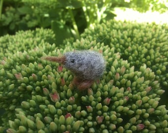 Felted bird, needle felted bird, kiwi bird, kiwi miniature
