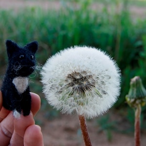 READY TO SHIP Felted cat, black and white cat, cat miniature, neddle felted cat, tiny, felted toys, toy cat, natural wool toys