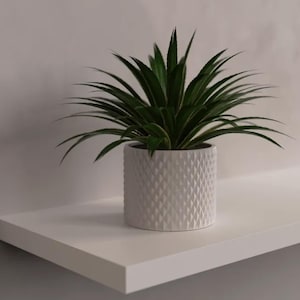 Op de afbeelding: Een kamerplant met lange, groene bladeren in een witte, getextureerde keramische pot. De pot heeft een ruitpatroon. De plant staat op een witte plank tegen een neutrale achtergrond.