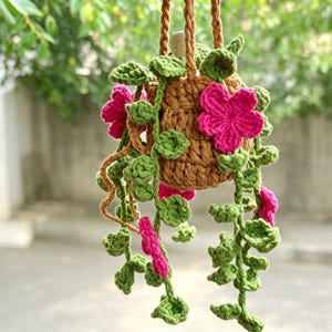 Puede incluir: Una planta colgante de ganchillo en una maceta marrón con largas enredaderas verdes y flores de color rosa brillante. La planta presenta múltiples hojas verdes pequeñas y redondeadas unidas a tallos marrones, con flores rosas vibrantes.