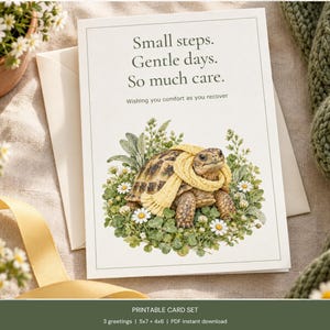 Peut inclure: Une carte de vœux rectangulaire illustrée d'une tortue portant une écharpe en tricot jaune, entourée de feuillage vert et de fleurs de marguerites blanches. Le texte indique : Small steps. Gentle days. So much care. Wishing you comfort as you recover.