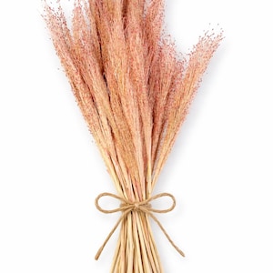 Strauß aus getrocknetem Rispenhirse in Rosa und Rot | Natürliche, luftige Pampasgras-Alternative | Blumenstiele für Hochzeits- und Wohndekoration.