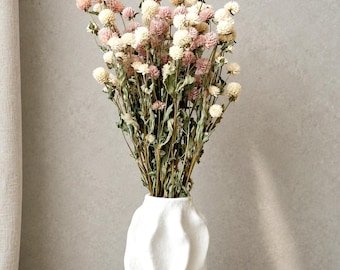 Ramo de flores secas | Gomphrena rosa y crema | Decoración botánica minimalista | Flores naturales preservadas | Arreglo escandinavo neutro
